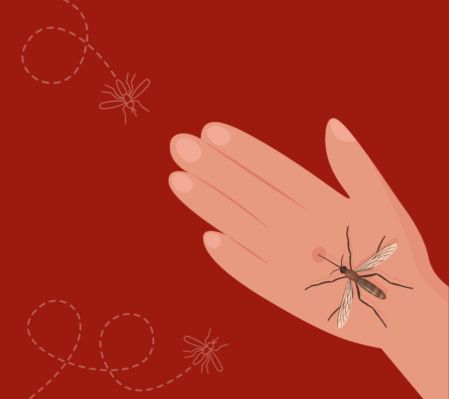 World Malaria Day 2025 (900 x 800 px)