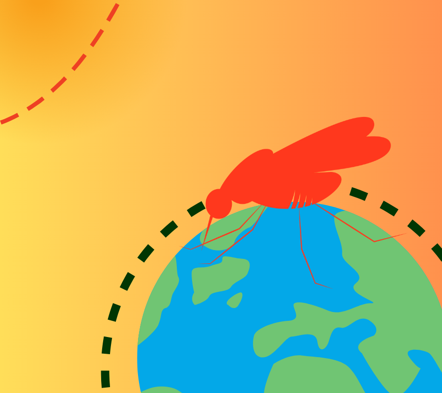 World Mosquito Day 2024 (900 x 800 px)