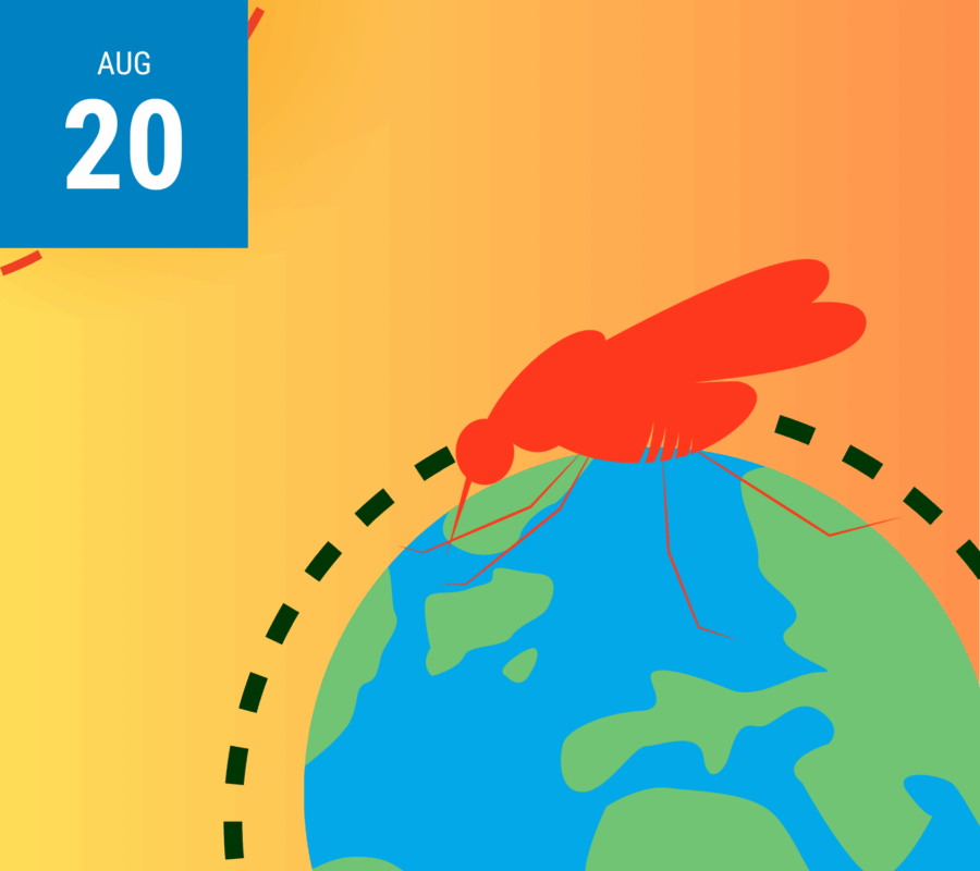 World Mosquito Day - With Date