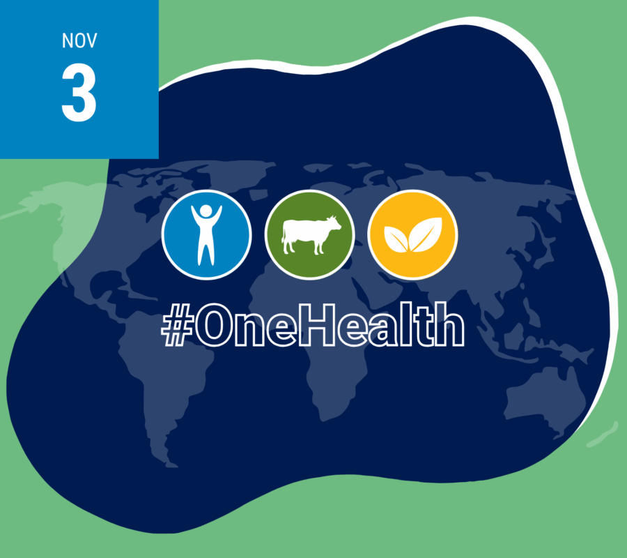 World One Health Day - With Date
