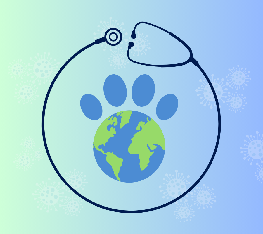 World Rabies Day 2024 (900 x 800 px)