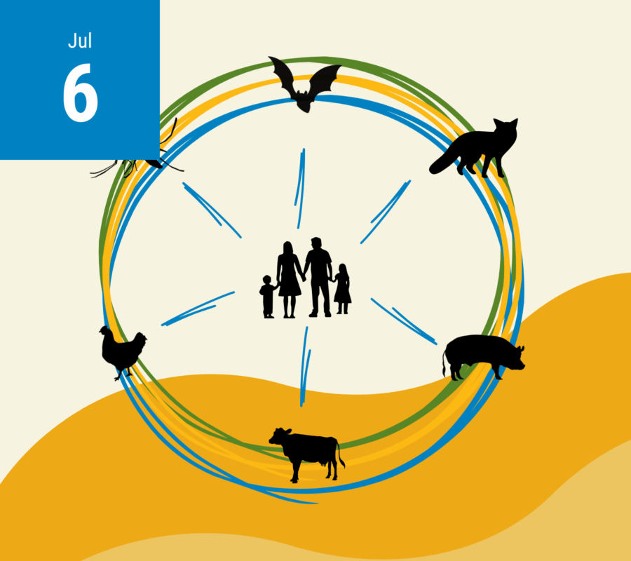World Zoonoses Day - With Date
