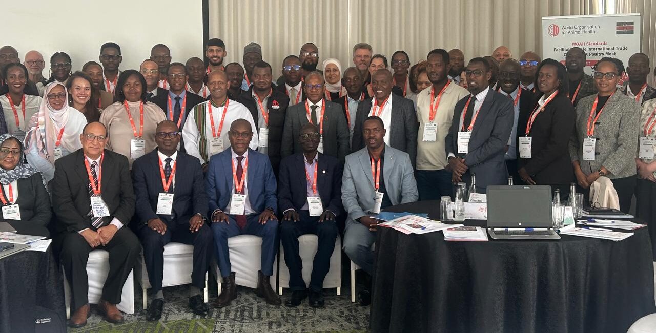 Participants at the WOAH workshop on safe international trade in Africa in Nairobi, Kenya